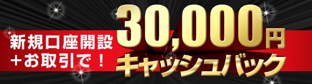 ループイフダンのキャッシュバック